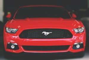 Mustang paint cost